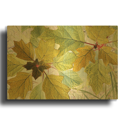 'Golden Oak' By Judy Stalus Gold Metal Wall Art