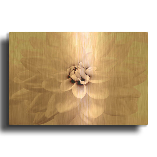 'Pink Dahlia 2' By Judy Stalus Gold Metal Wall Art