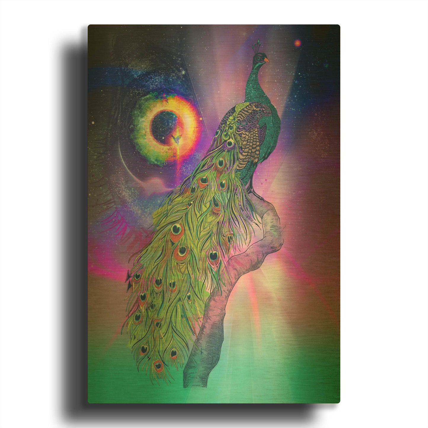 'Cosmic Peacock' By Karin Roberts Gold Metal Wall Art