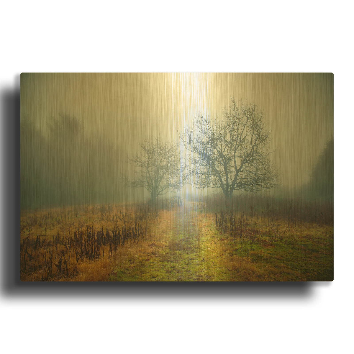 'Magic Meadow Apples' By Kelly Sinclair Gold Metal Wall Art