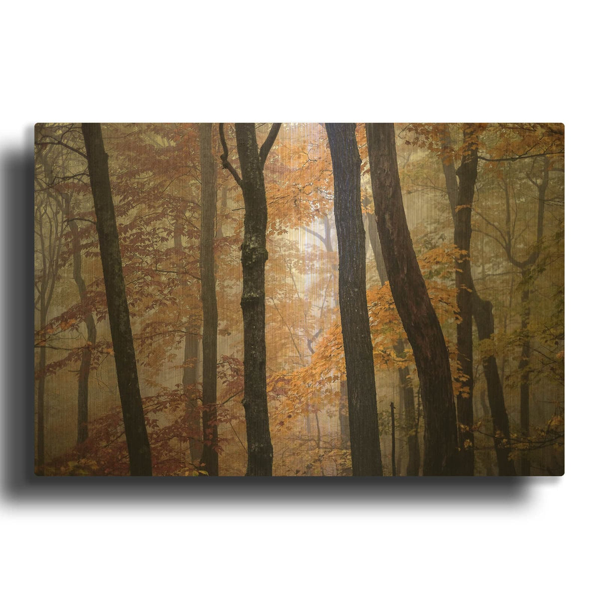 'October Trees' By Kelly Sinclair Gold Metal Wall Art