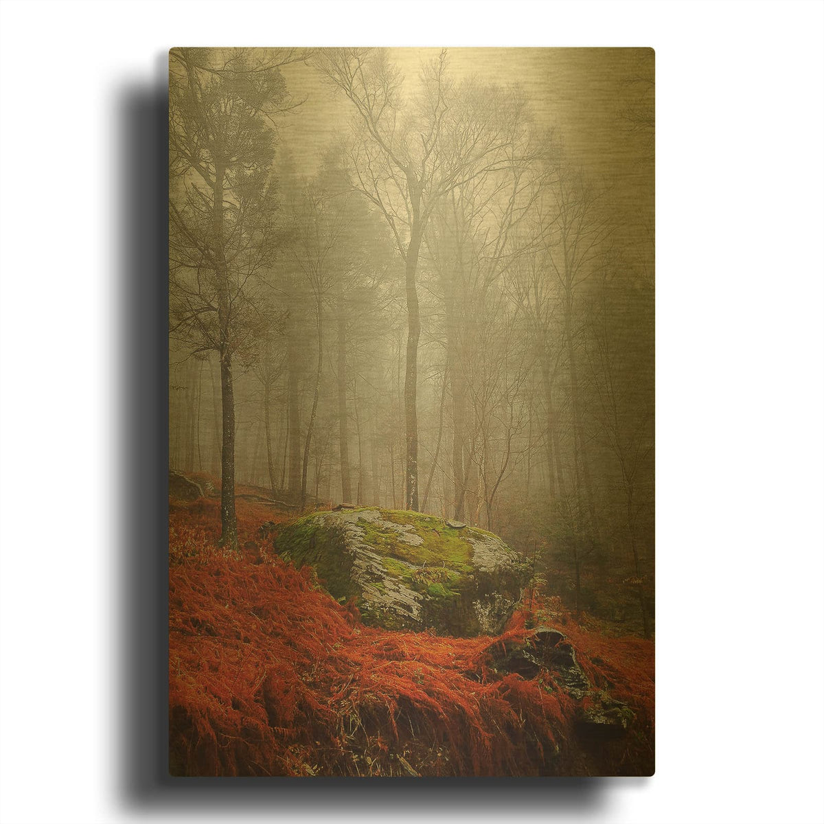 'Red Ferns' By Kelly Sinclair Gold Metal Wall Art