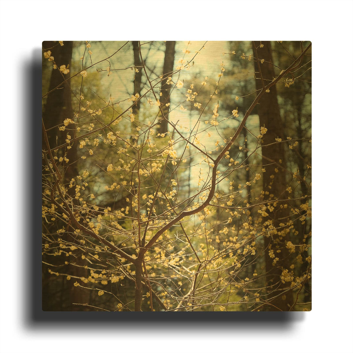 'Spring' By Kelly Sinclair Gold Metal Wall Art