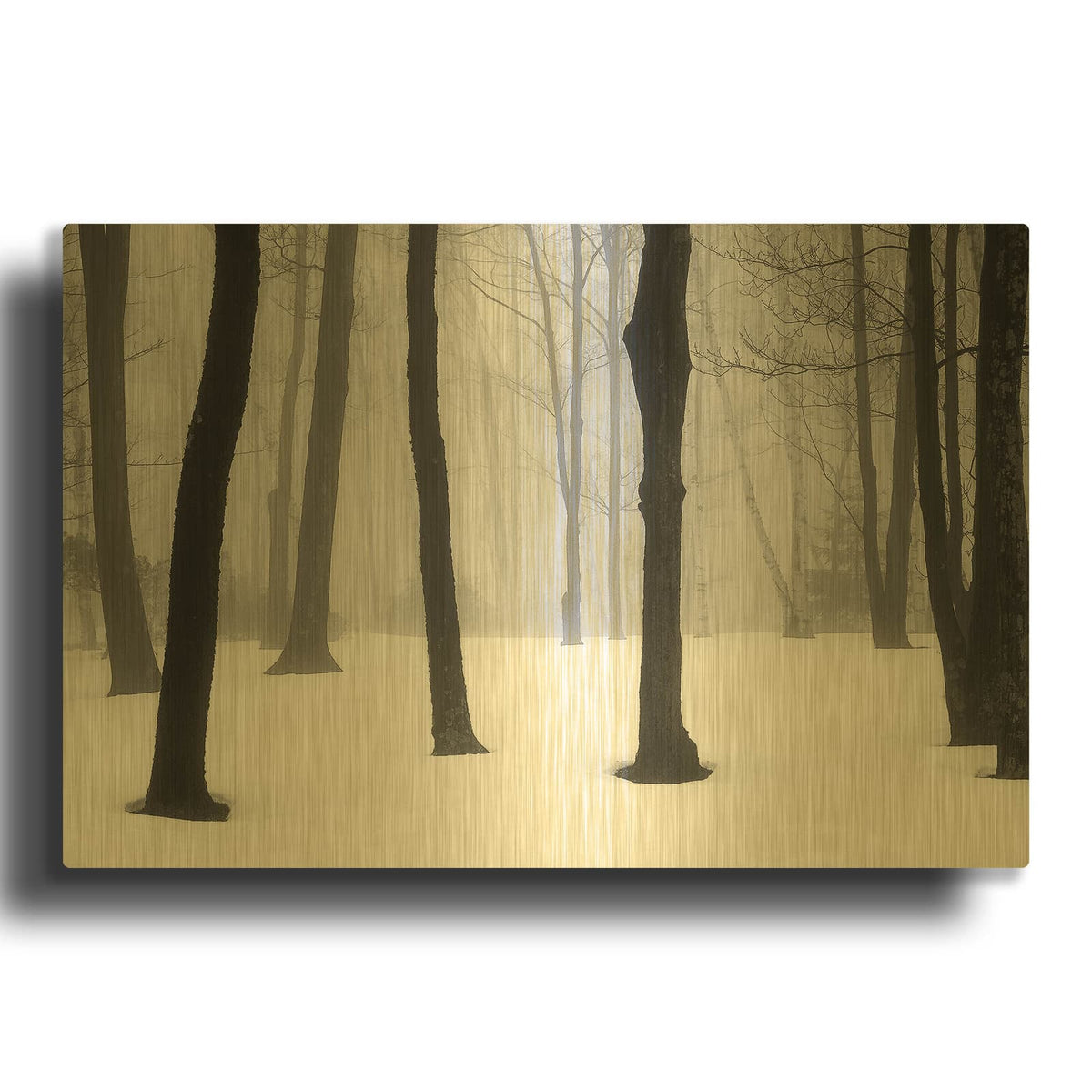 'Winter Fog' By Kelly Sinclair Gold Metal Wall Art