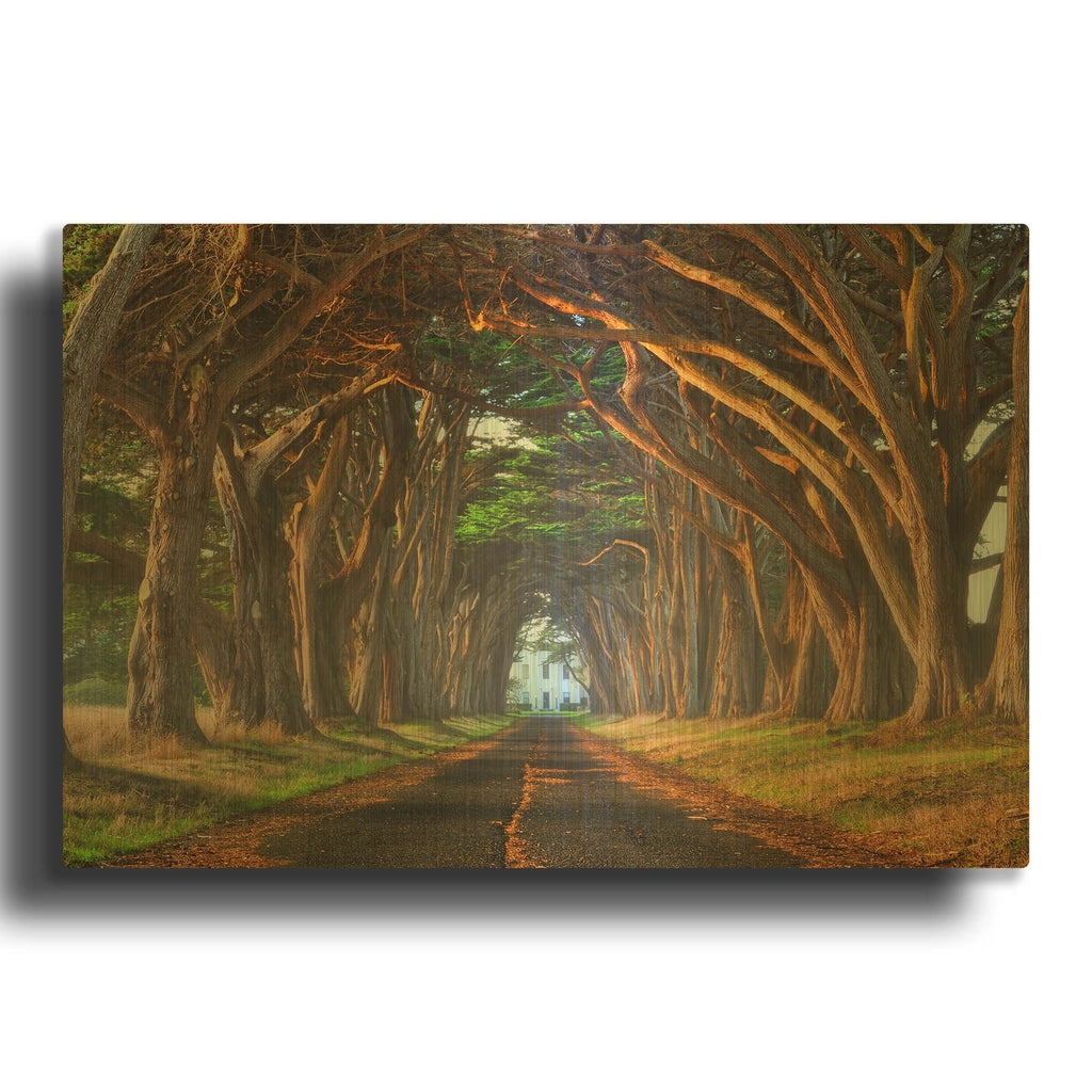 'Tunnel of Light' By Lee Sie Gold Metal Wall Art