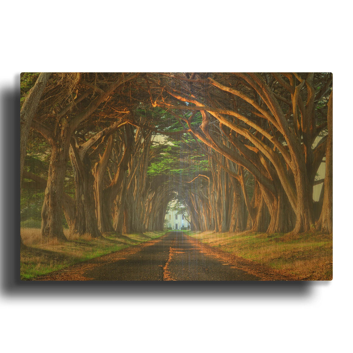 'Tunnel of Light' By Lee Sie Gold Metal Wall Art