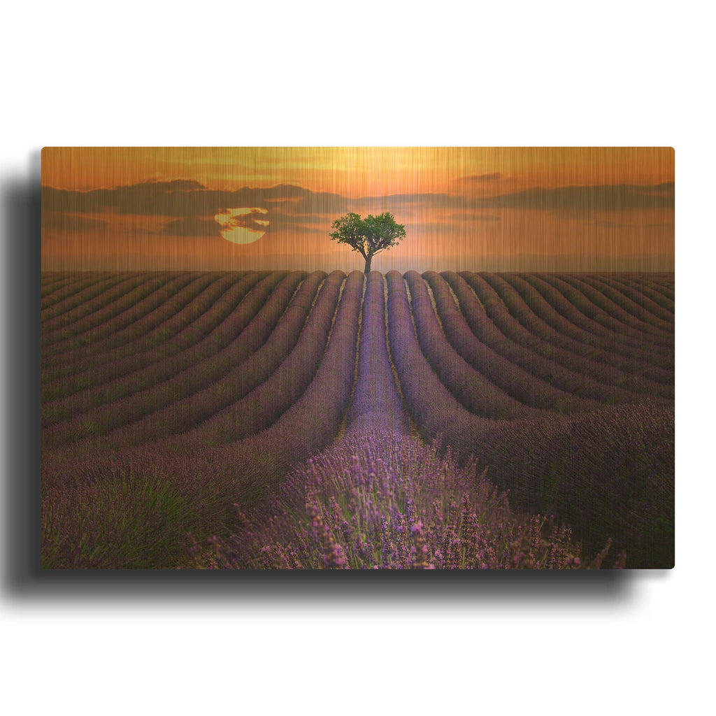 'For the Love of Lavender' By Lee Sie Gold Metal Wall Art