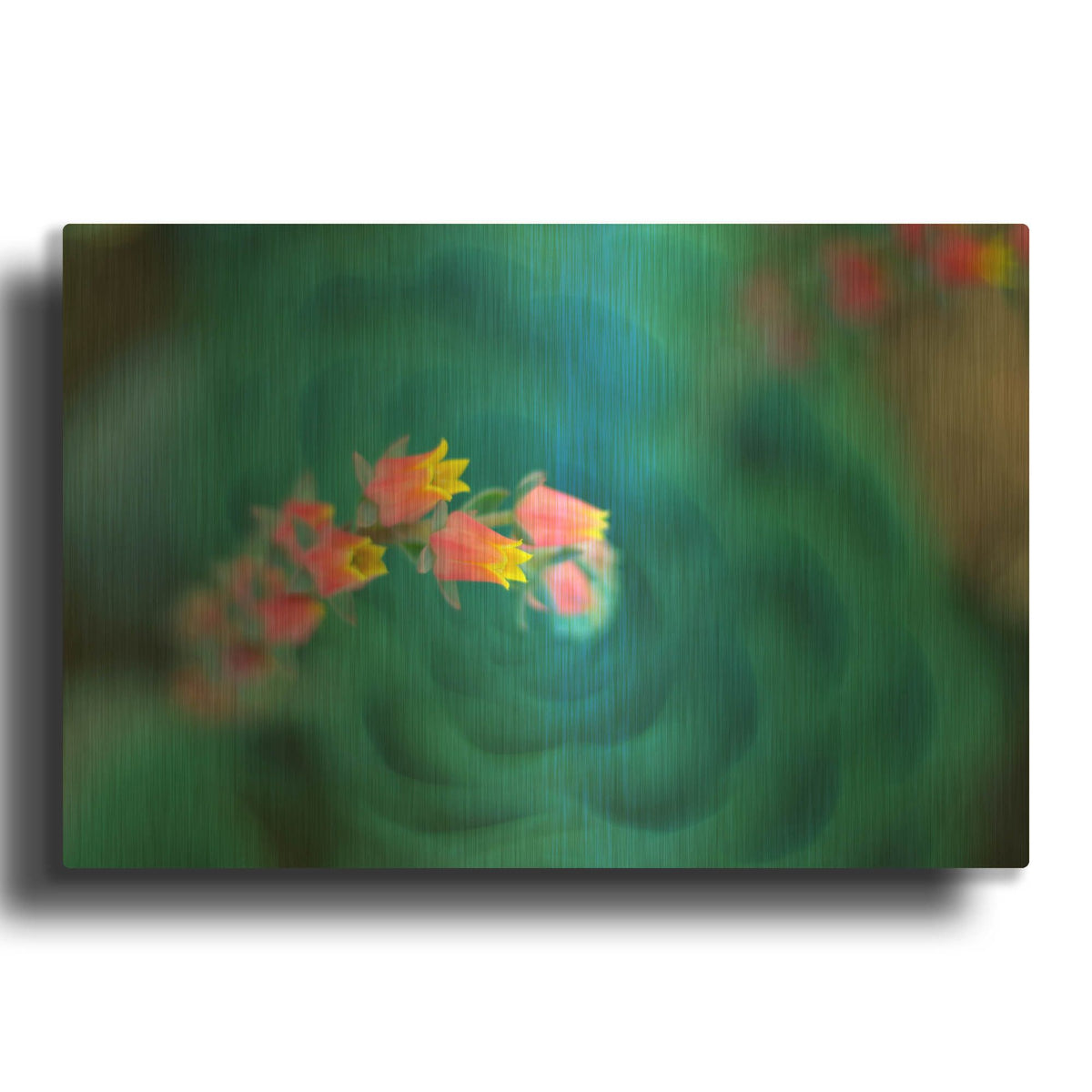 'Rosularia' By Lee Sie Gold Metal Wall Art