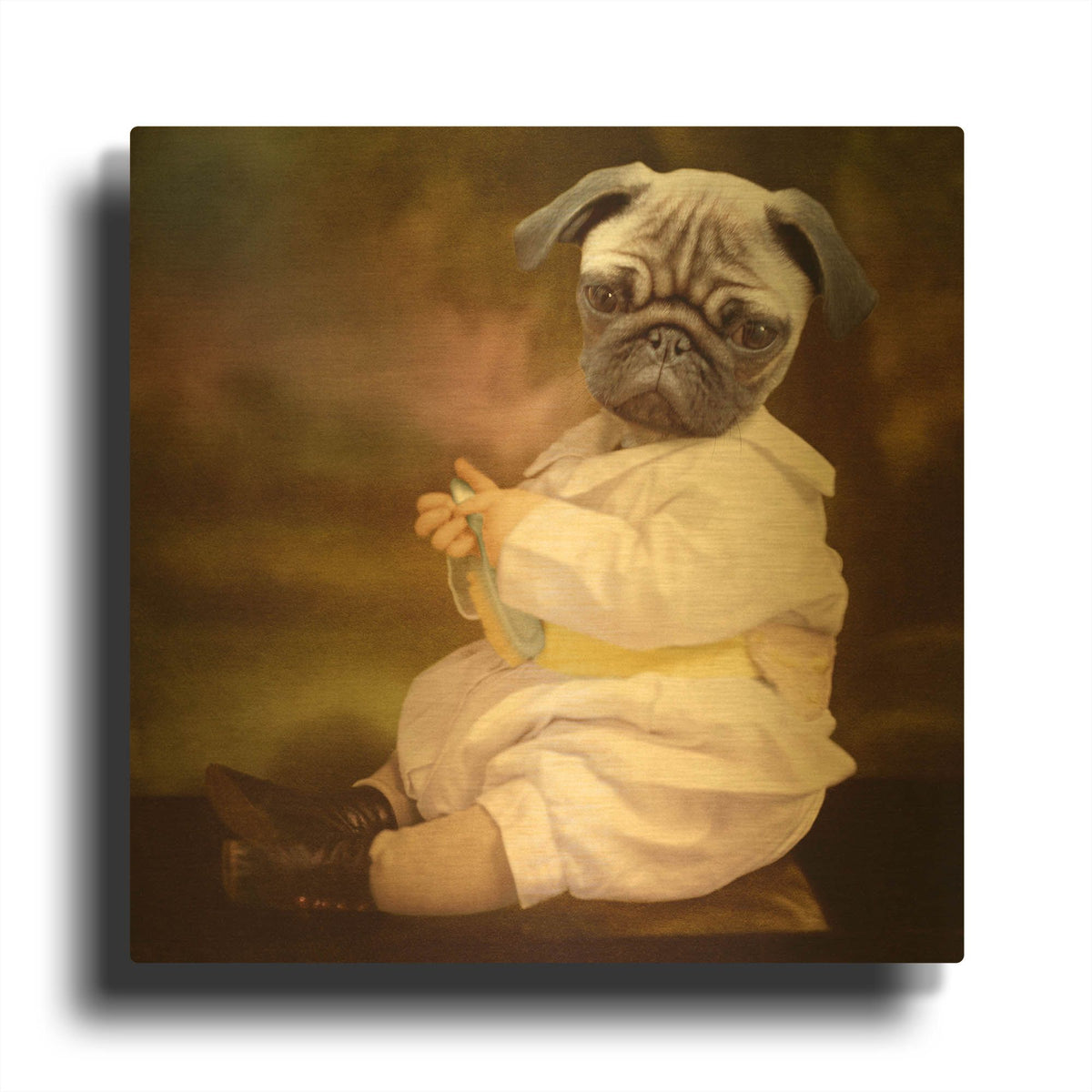 'Tommy Boy' By Martine Roch Gold Metal Wall Art