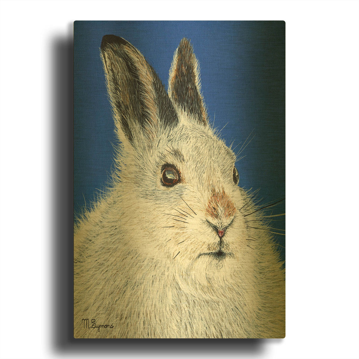 'Calgary Jack' By Melissa Symons Gold Metal Wall Art