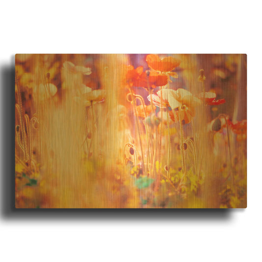 'I Am Alice' By Myan Soffia Gold Metal Wall Art