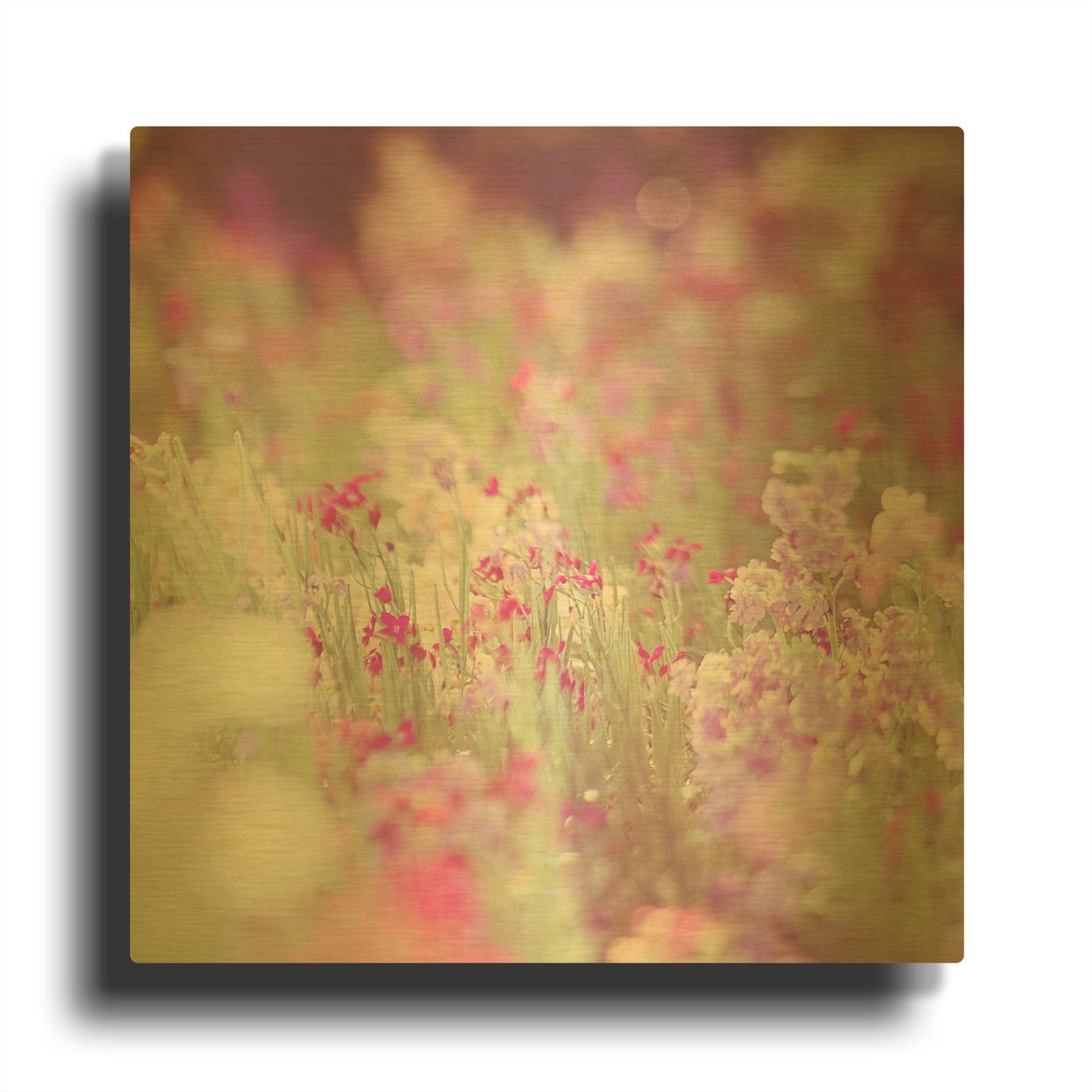 'Monet' By Myan Soffia Gold Metal Wall Art