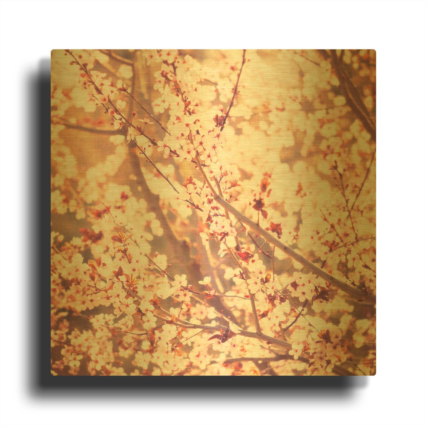 'Oh To Be a Bumblebee 3' By Myan Soffia Gold Metal Wall Art