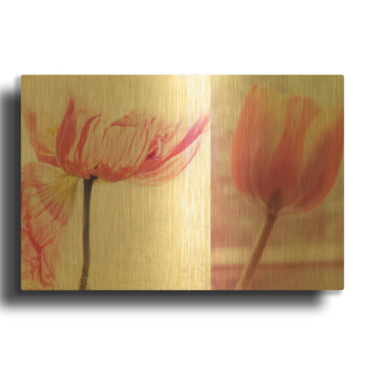 'Poppy & Tulip' By Myan Soffia Gold Metal Wall Art