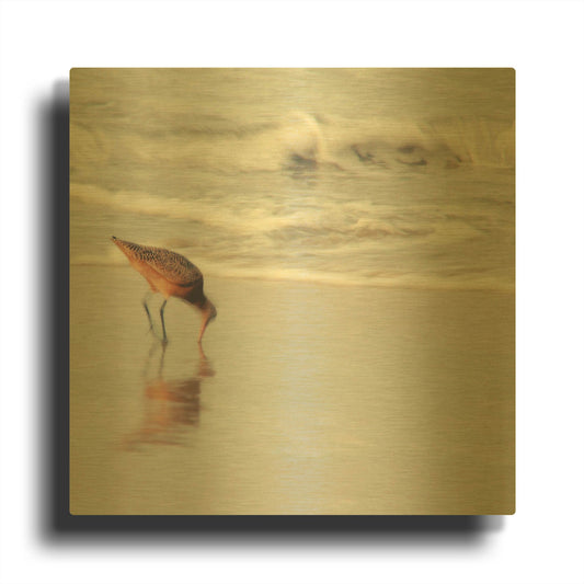 'Soft Sea' By Myan Soffia Gold Metal Wall Art