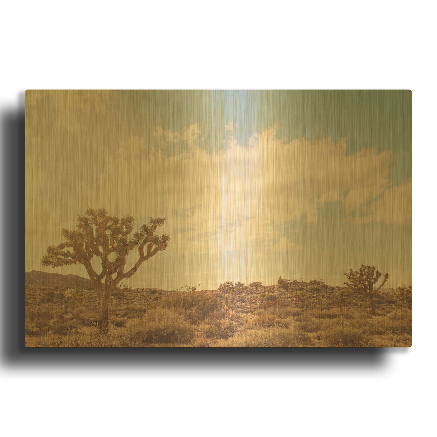 'Sunshine & Joshua Trees' By Myan Soffia Gold Metal Wall Art