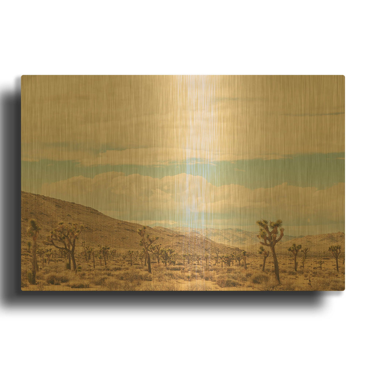 'Untitled 10' By Myan Soffia Gold Metal Wall Art