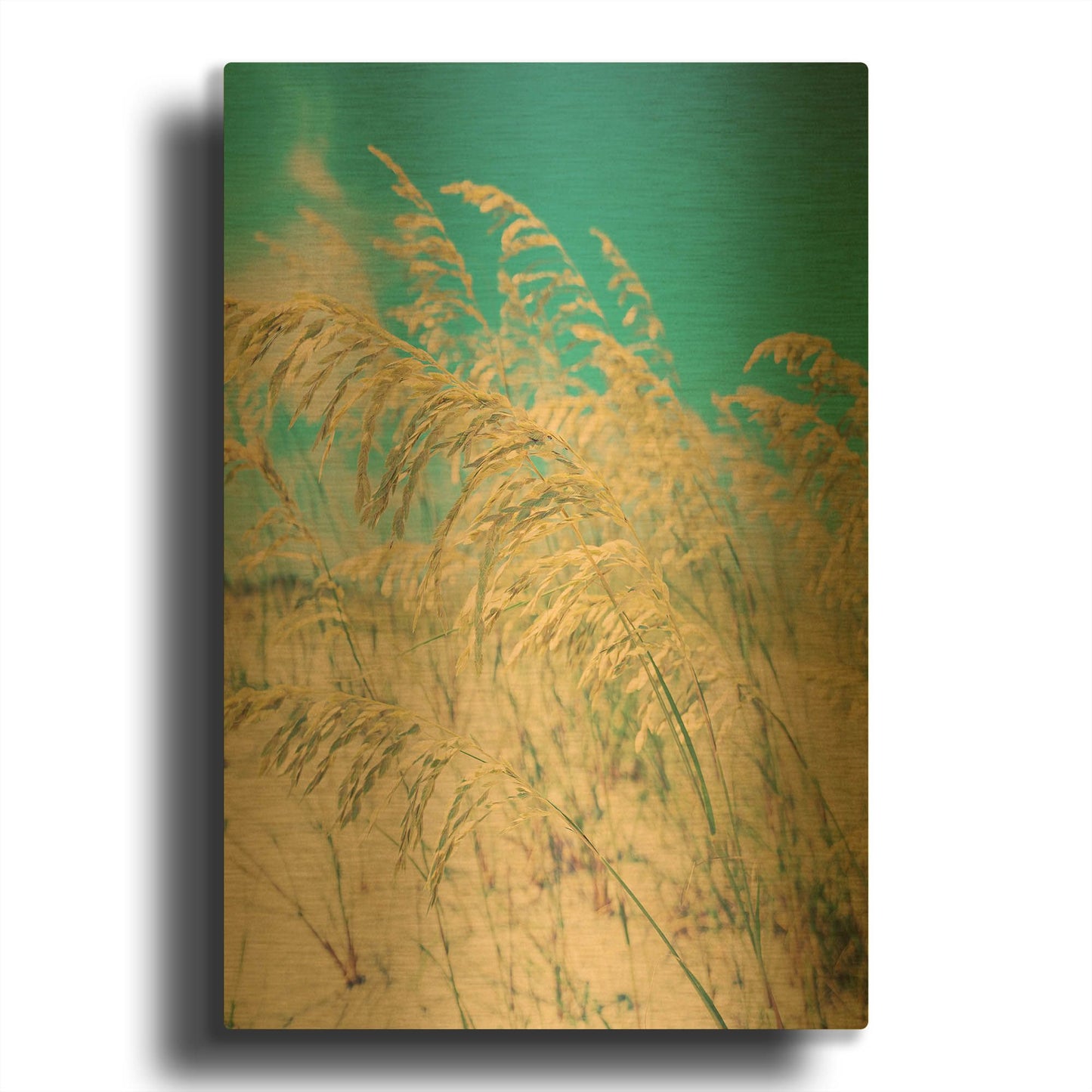 'Sea Oats' By Myan Soffia Gold Metal Wall Art