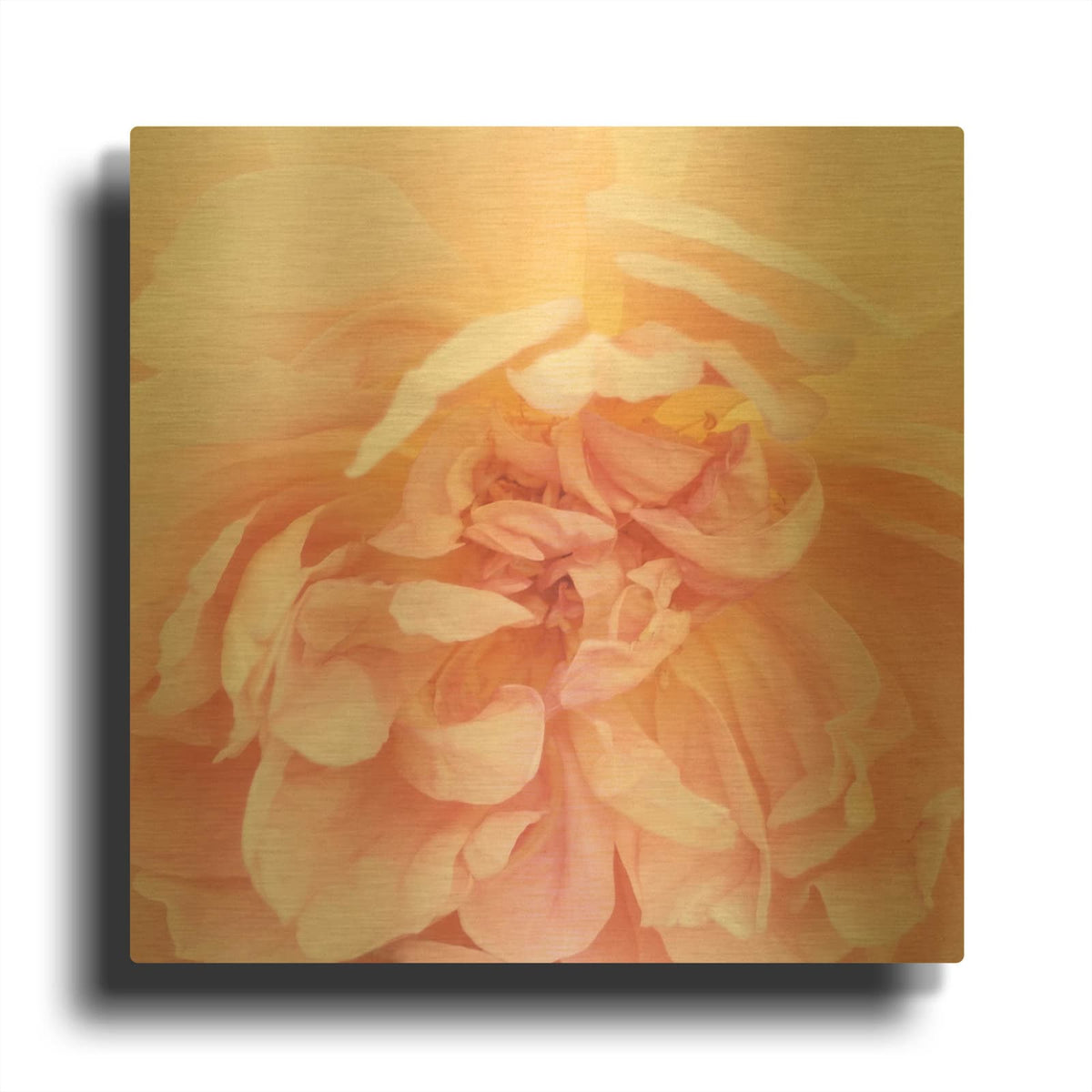 'Heavenly Rose' By Rebecca Swanson Gold Metal Wall Art