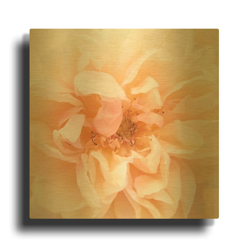 'Promise Rose' By Rebecca Swanson Gold Metal Wall Art