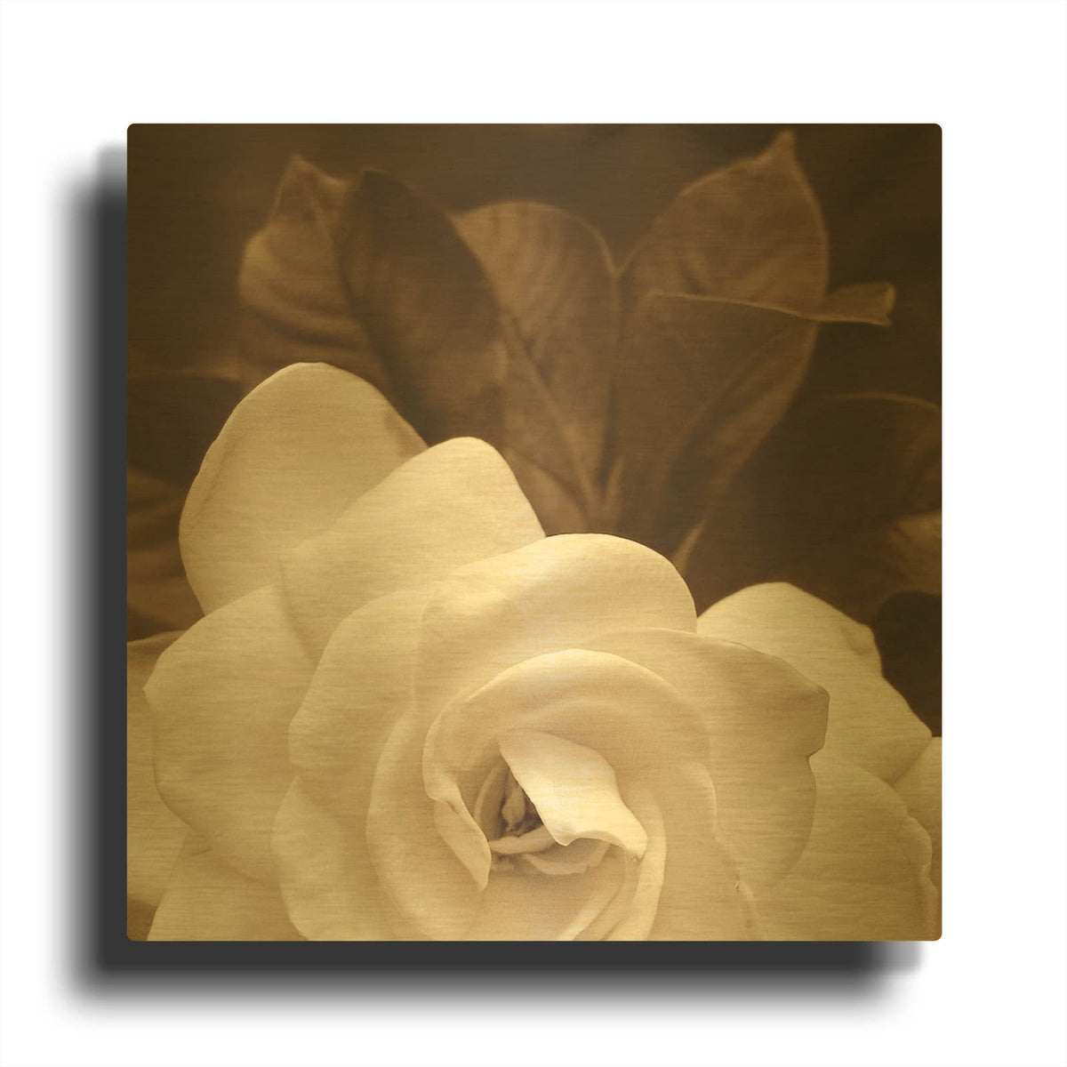 'Gardenia Garden' By Rebecca Swanson Gold Metal Wall Art