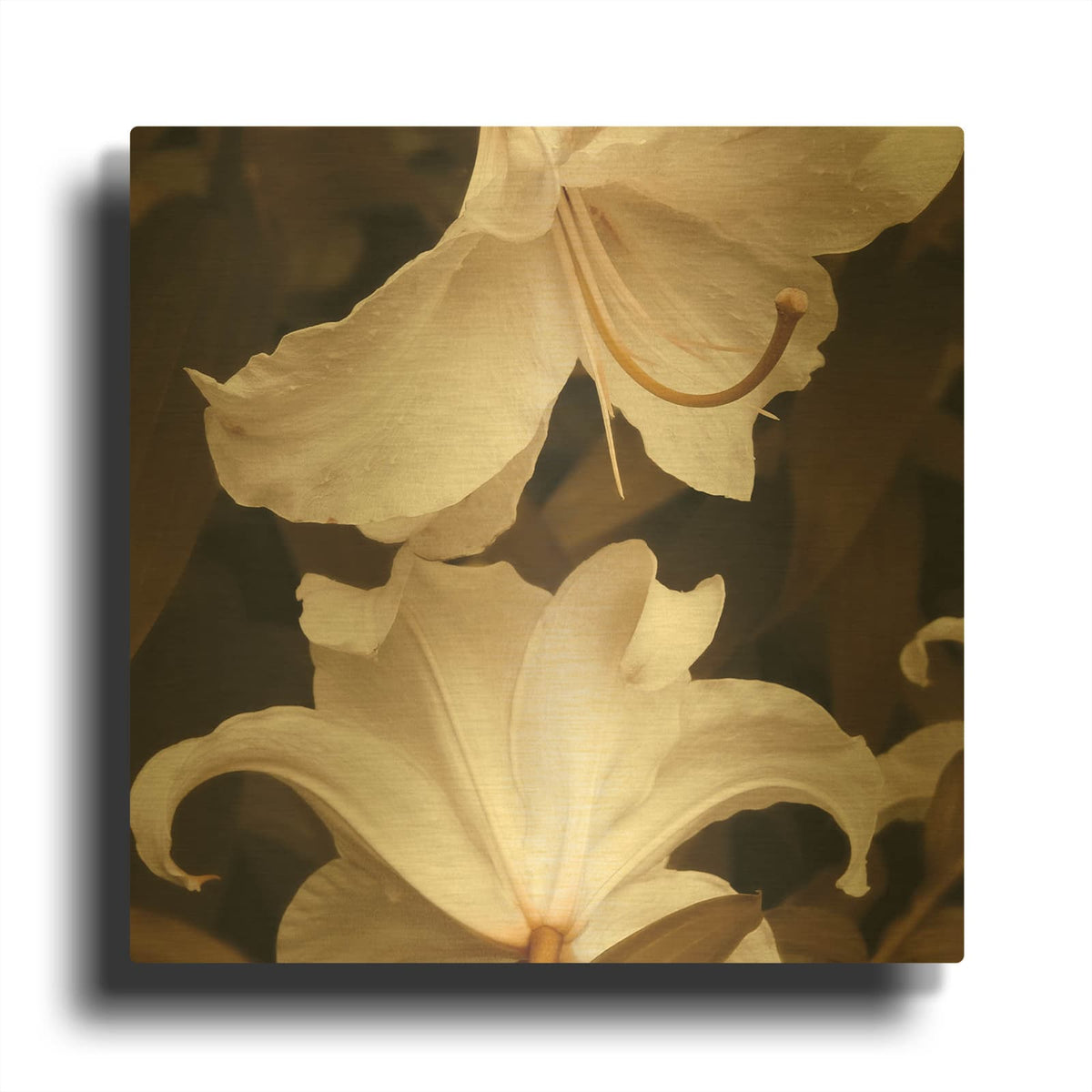 'White Lilies' By Rebecca Swanson Gold Metal Wall Art
