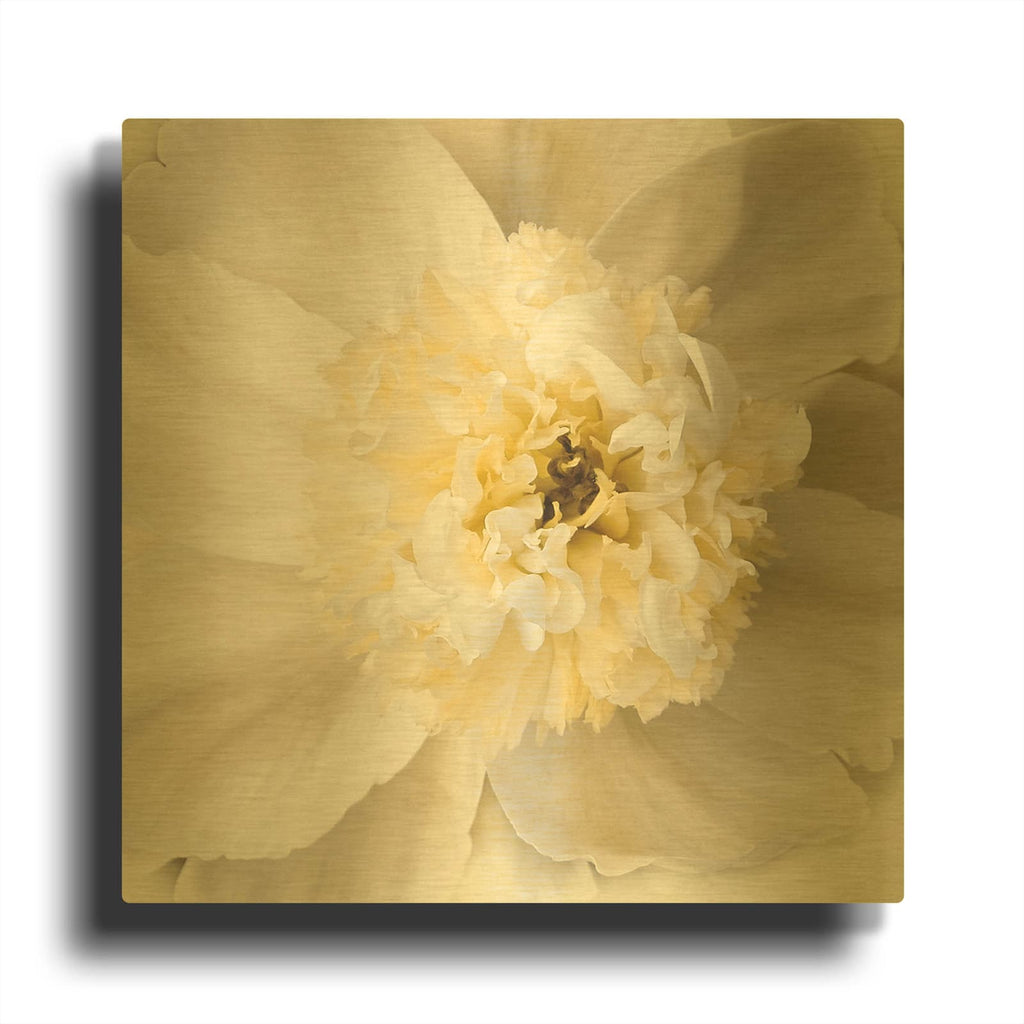 'Peony Praise' By Rebecca Swanson Gold Metal Wall Art