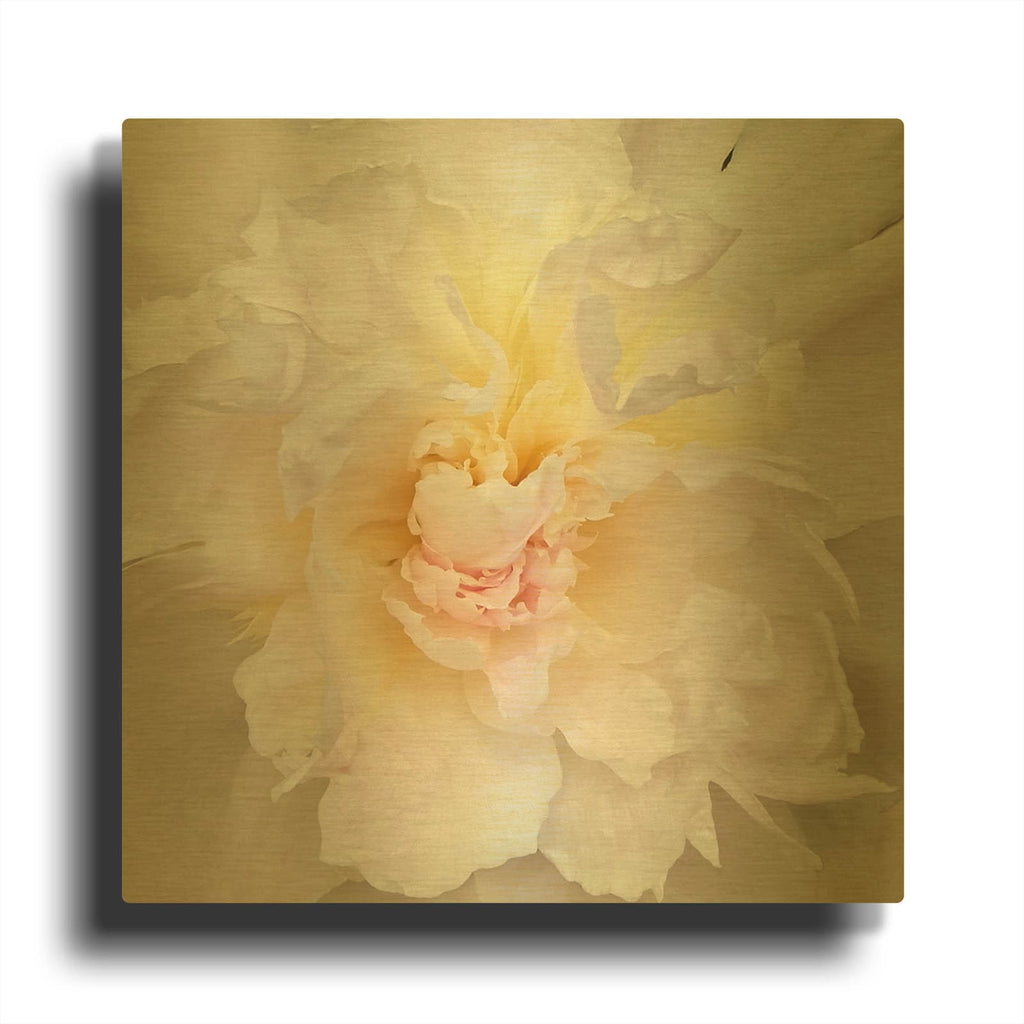 'Paeonia' By Rebecca Swanson Gold Metal Wall Art