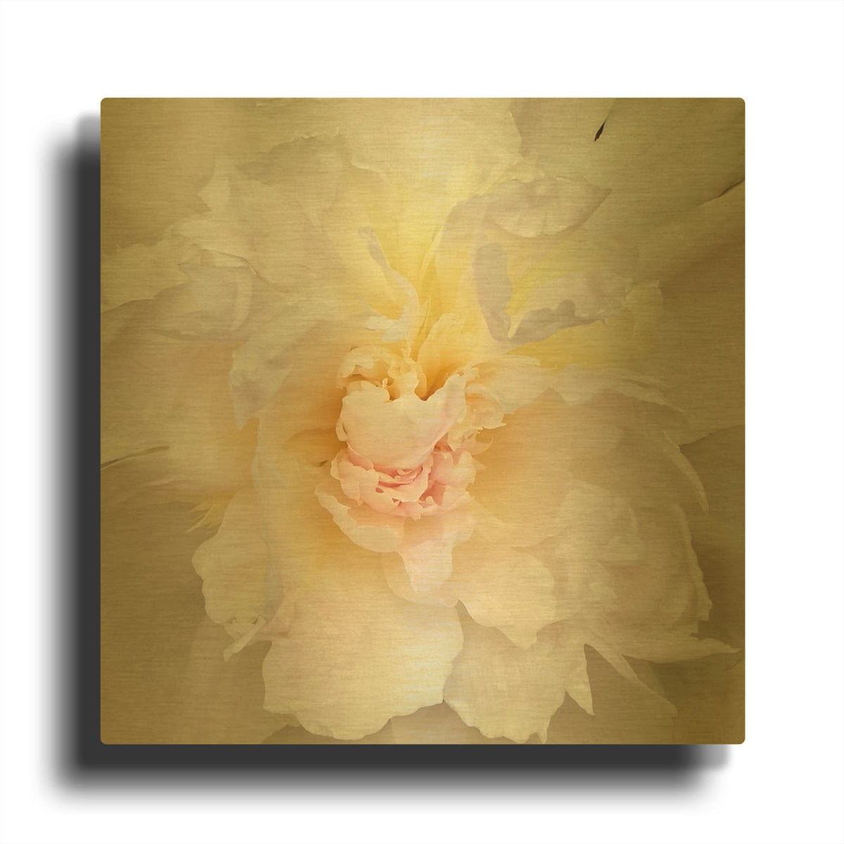 'Paeonia' By Rebecca Swanson Gold Metal Wall Art