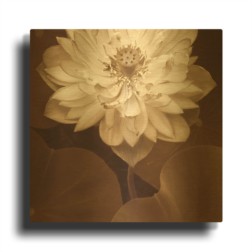 'Lotus Welcome' By Rebecca Swanson Gold Metal Wall Art