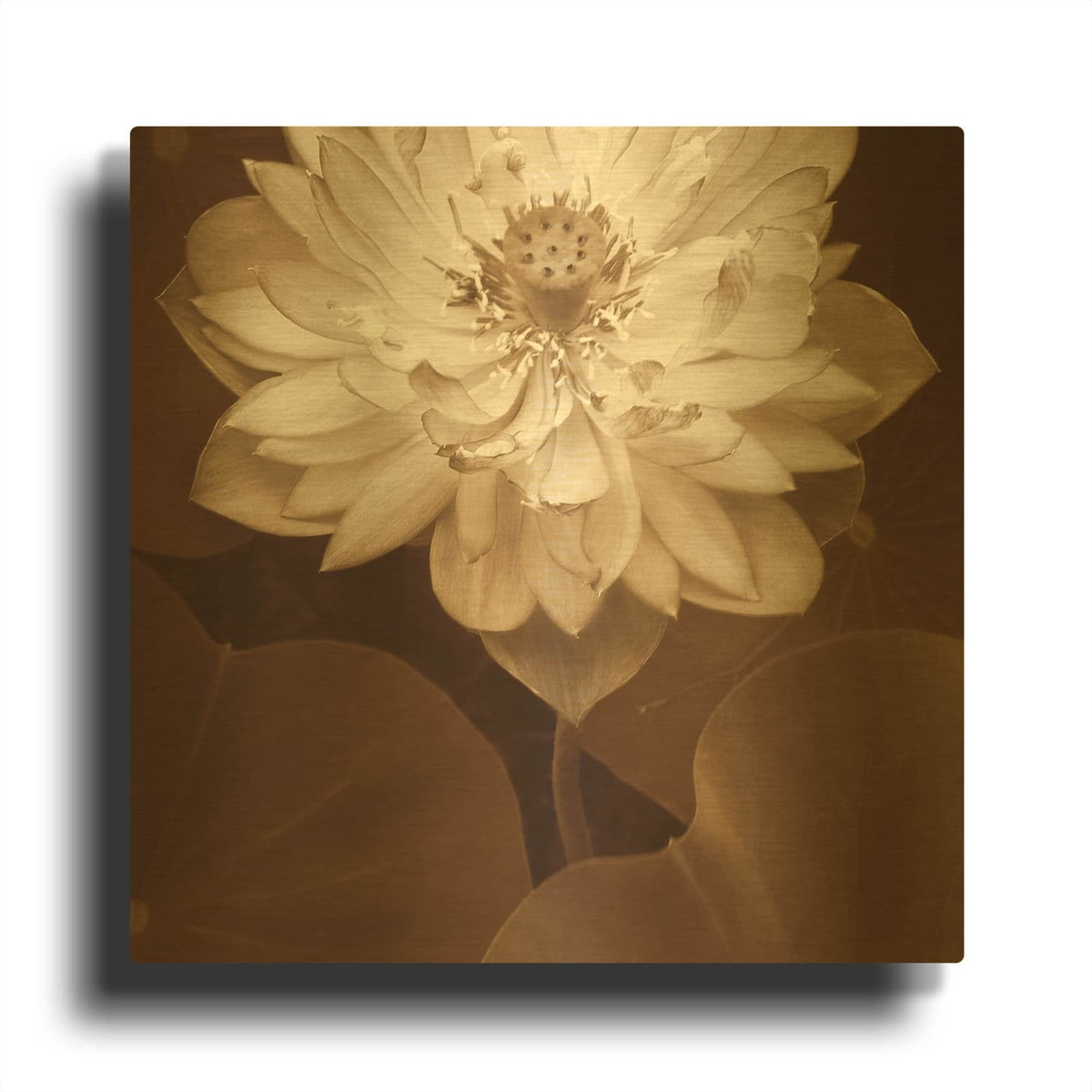 'Lotus Welcome' By Rebecca Swanson Gold Metal Wall Art