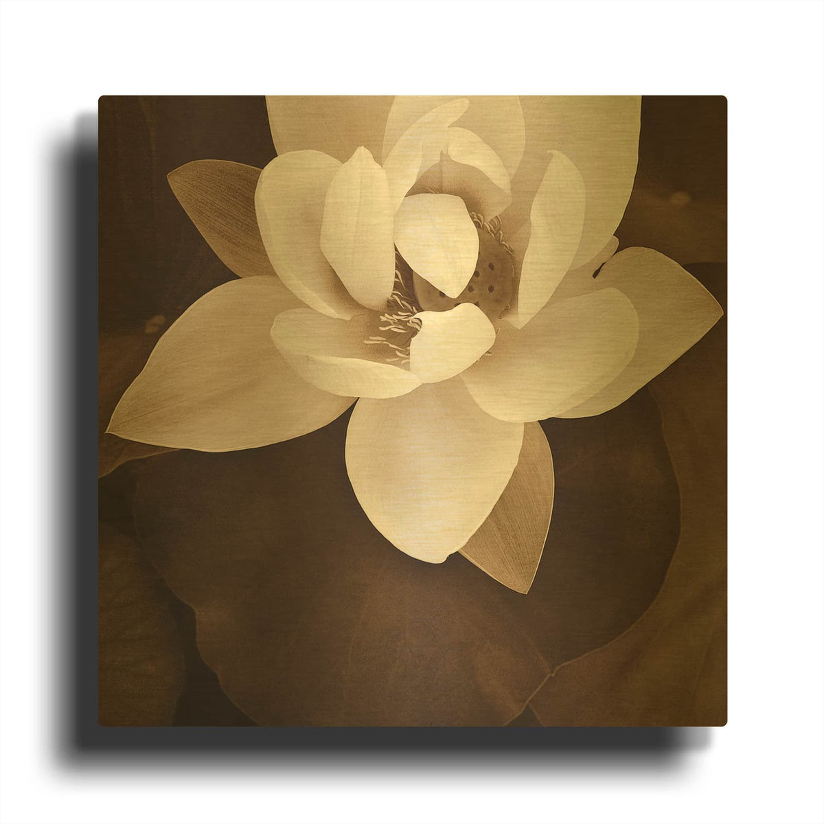 'Amazon Lotus' By Rebecca Swanson Gold Metal Wall Art