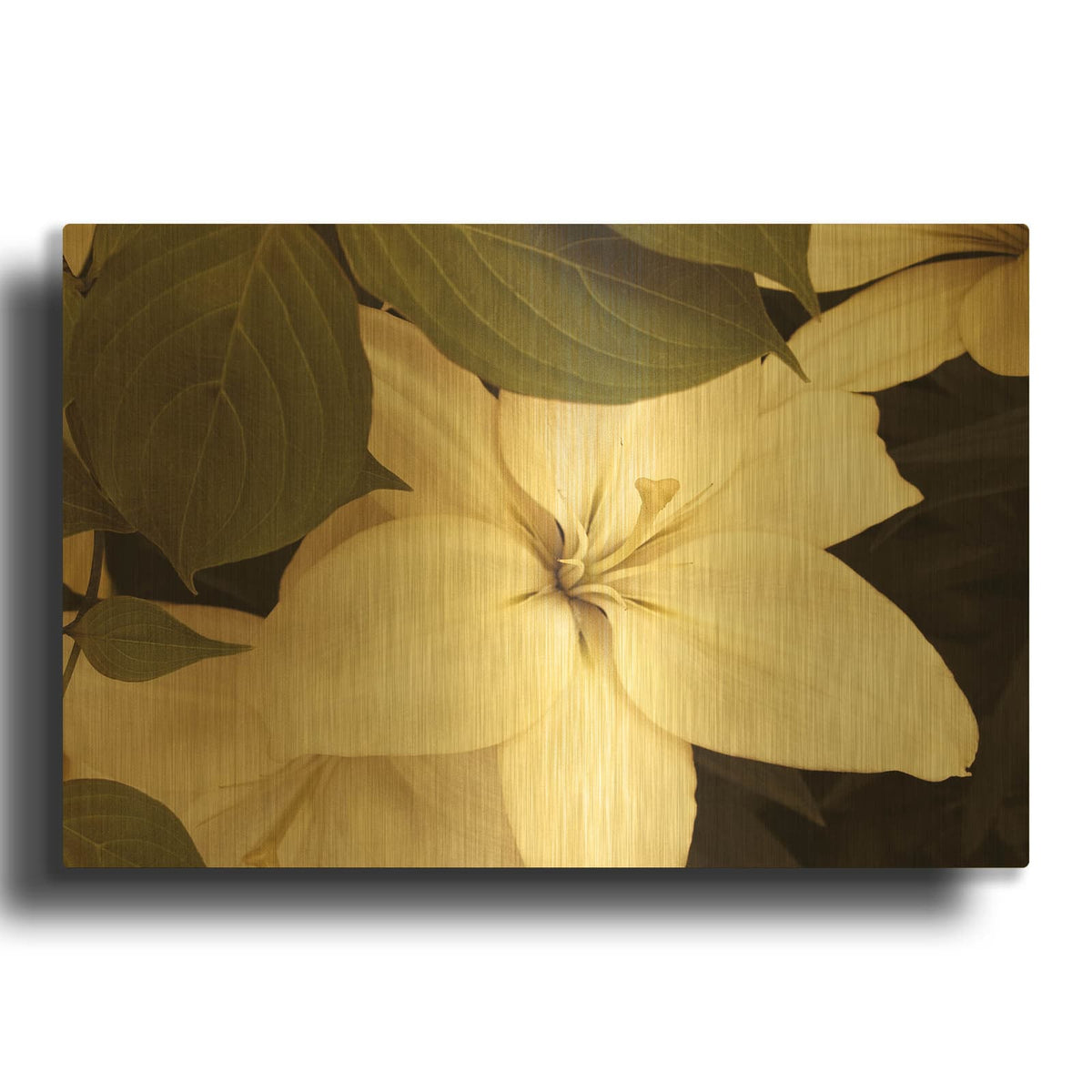 'Lily and Leaves' By Rebecca Swanson Gold Metal Wall Art