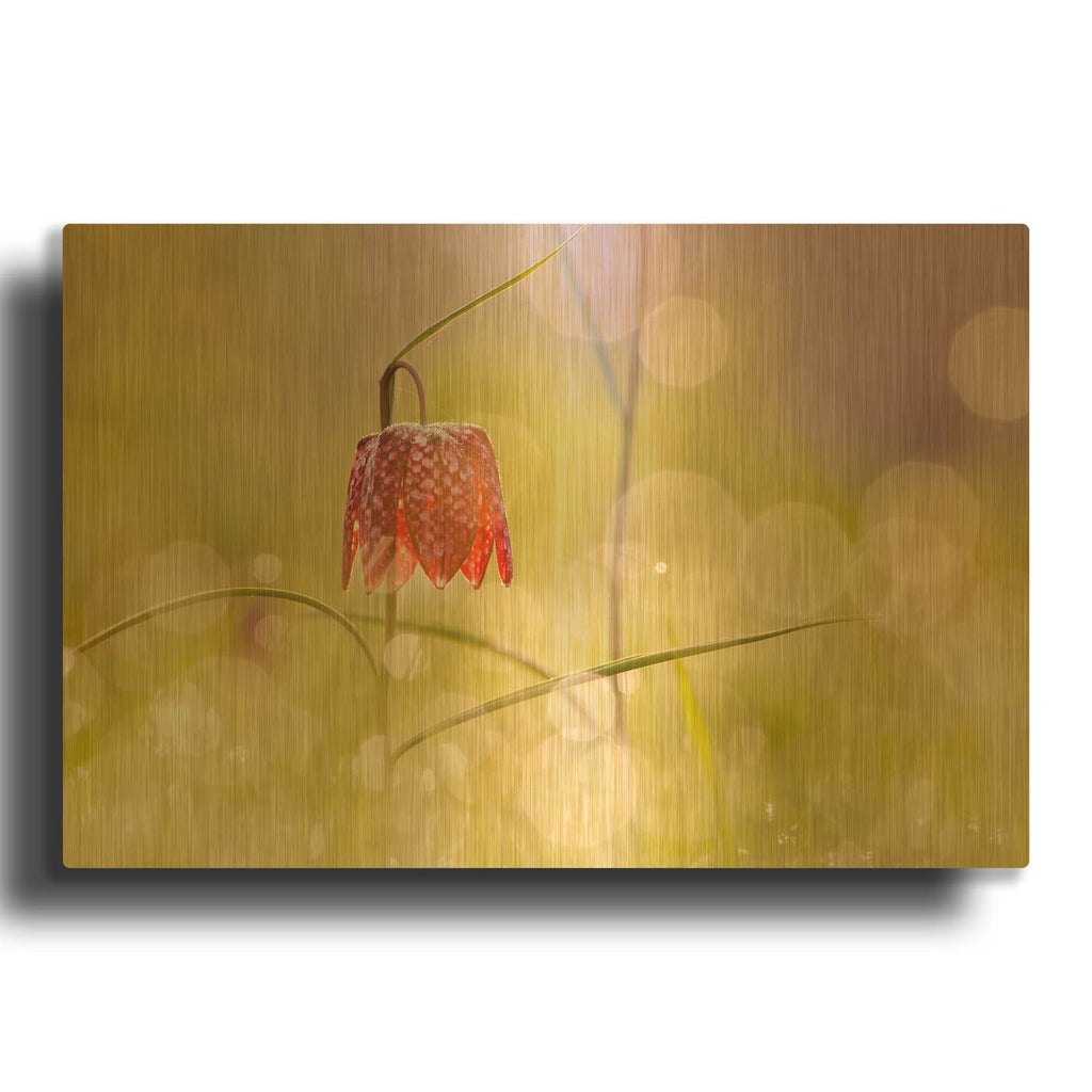 'Fairy World I' By Roeselien Raimond Gold Metal Wall Art