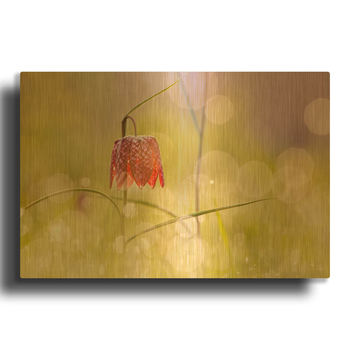 'Fairy World I' By Roeselien Raimond Gold Metal Wall Art