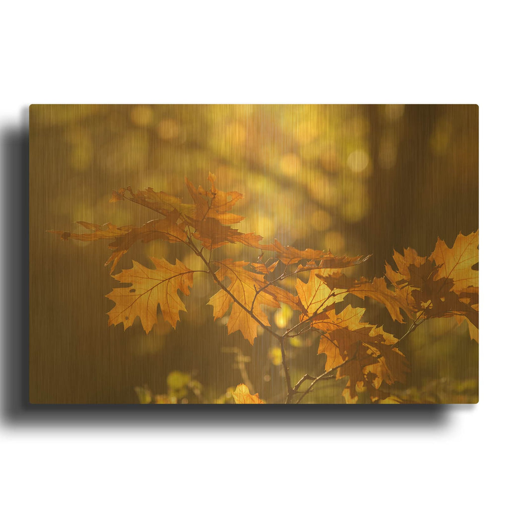 'Autumn Light' By Roeselien Raimond Gold Metal Wall Art