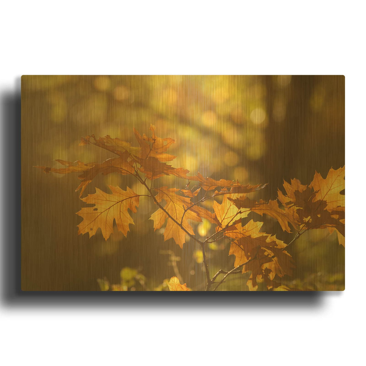 'Autumn Light' By Roeselien Raimond Gold Metal Wall Art