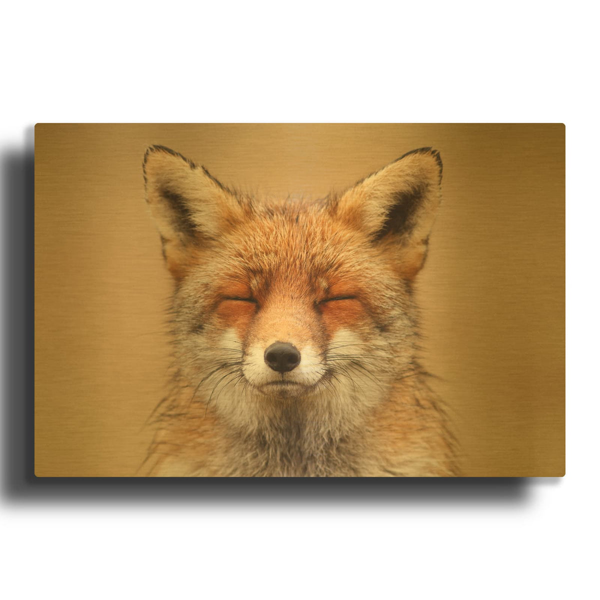 'Zen Fox Red Portrait' By Roeselien Raimond Gold Metal Wall Art