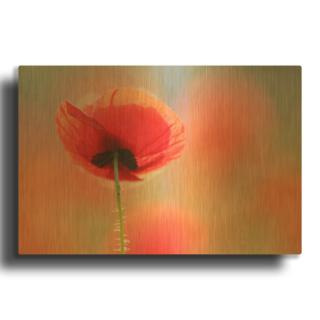'Poppy Dream' By Roeselien Raimond Gold Metal Wall Art