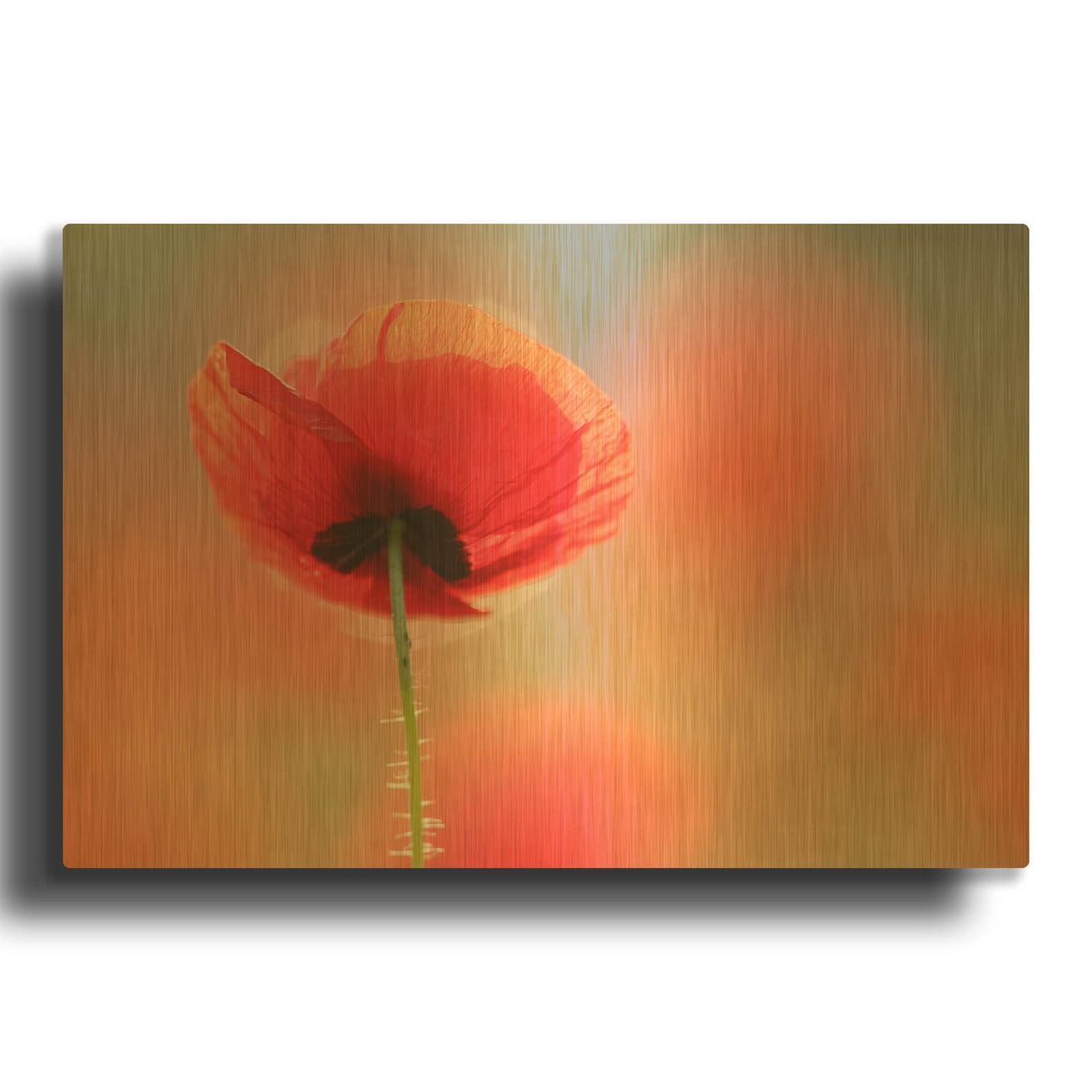 'Poppy Dream' By Roeselien Raimond Gold Metal Wall Art