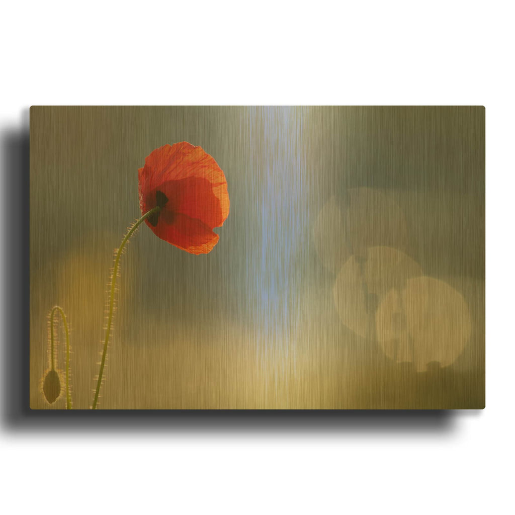 'Echoes' By Roeselien Raimond Gold Metal Wall Art