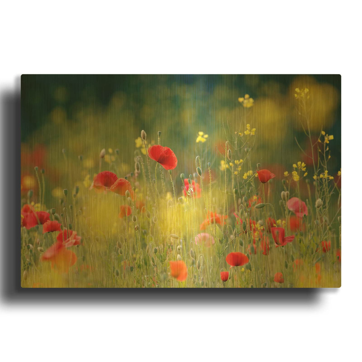 'Just a Perfect Day' By Roeselien Raimond Gold Metal Wall Art