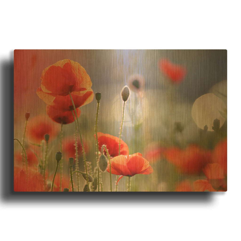 'Poppy Delight' By Roeselien Raimond Gold Metal Wall Art