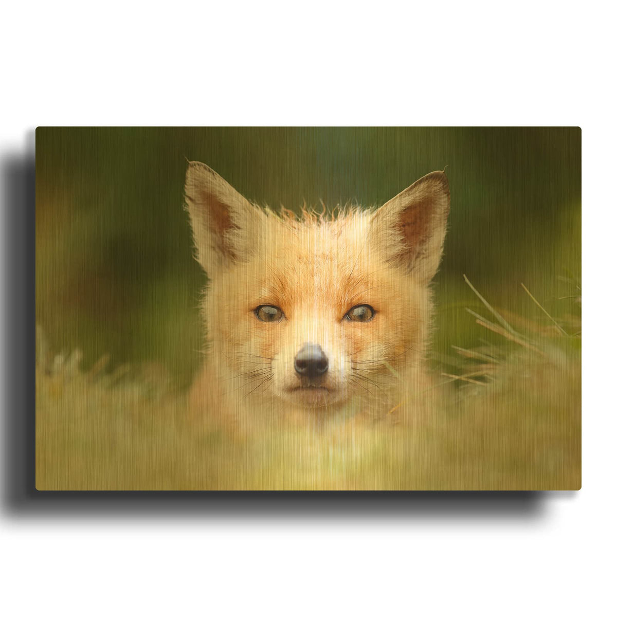 'Bad Fur Day' By Roeselien Raimond Gold Metal Wall Art
