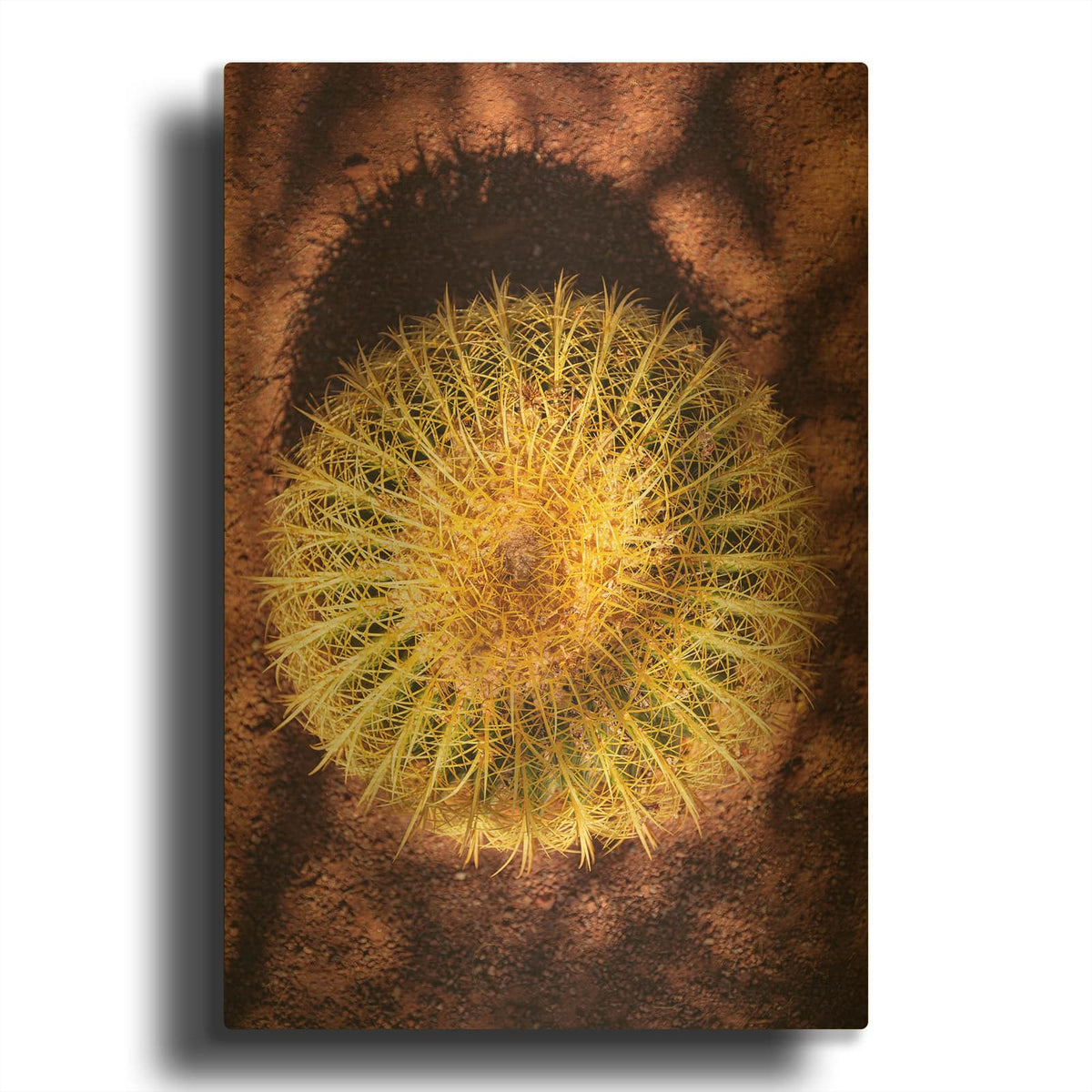 'Utah - Cactus' By Luxe Gold Metal Wall Art