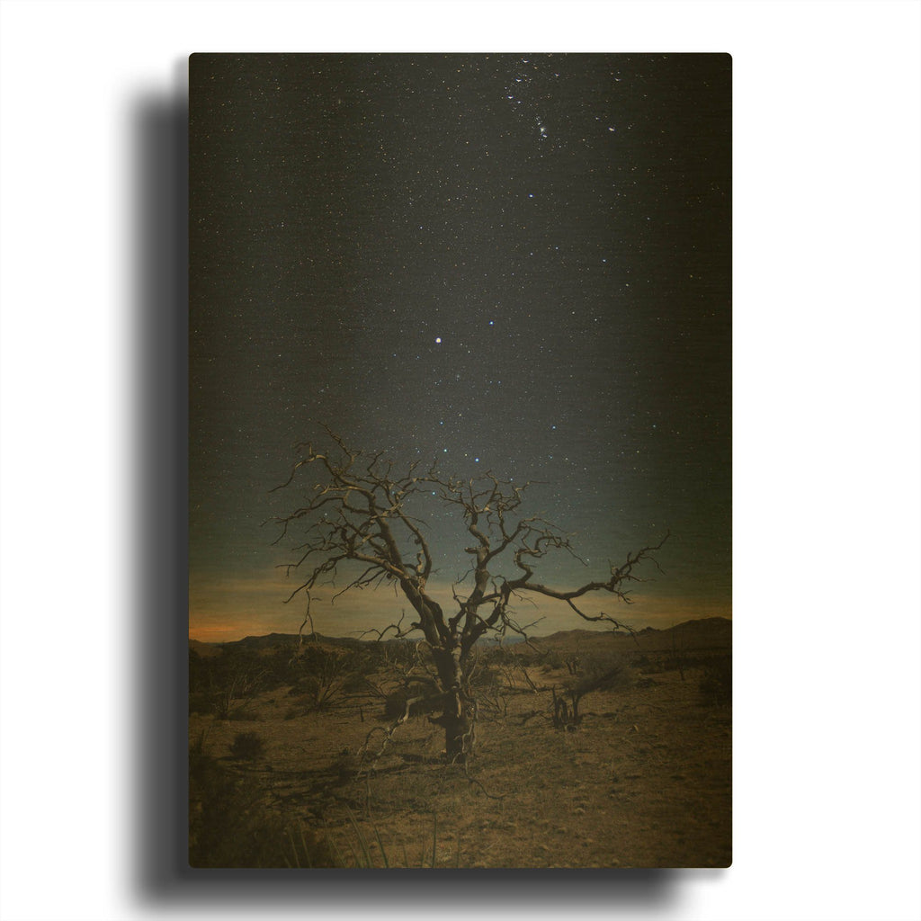 'Mohave at Night 1' By Shawn/Corinne Severn Gold Metal Wall Art