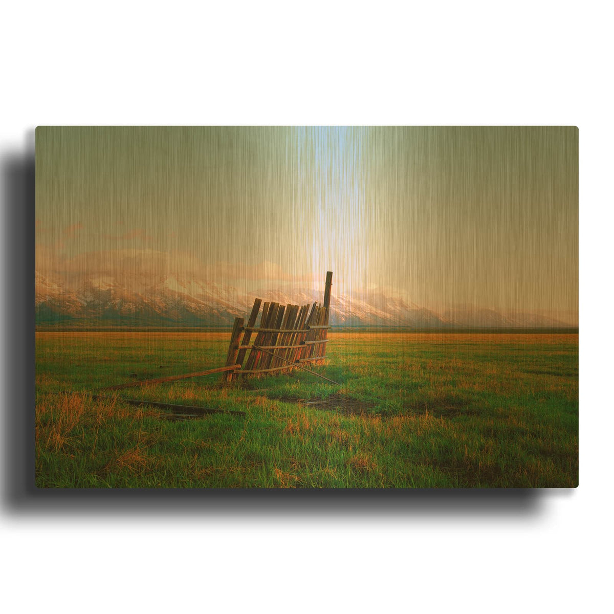 'After Rain' By Sol Rapson Gold Metal Wall Art