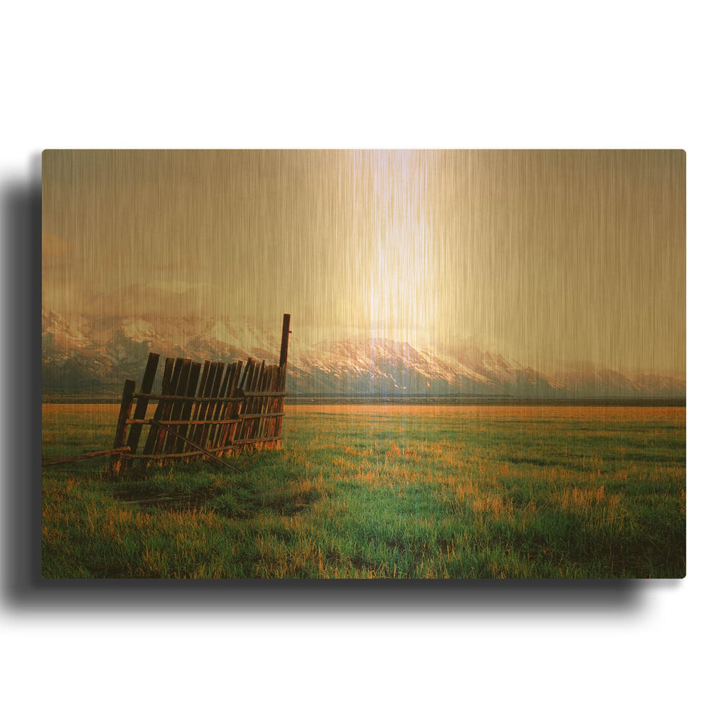 'Fence In Jackson' By Sol Rapson Gold Metal Wall Art