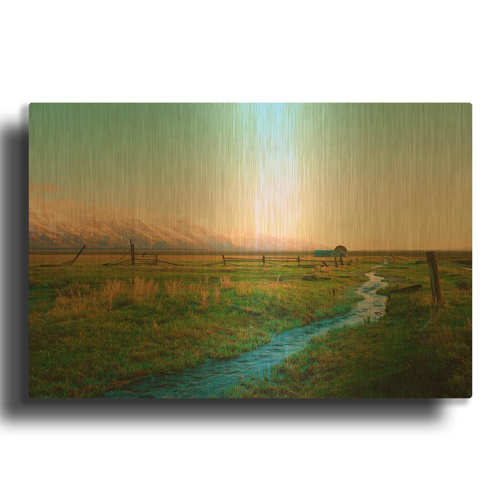 'Home On The Range' By Sol Rapson Gold Metal Wall Art