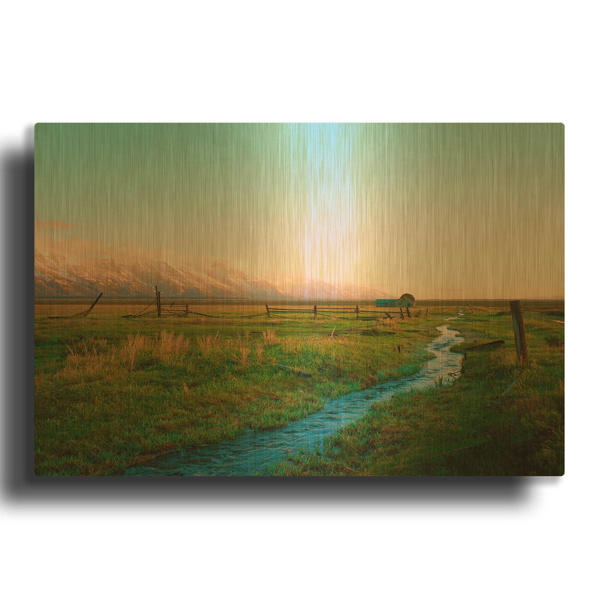 'Home On The Range' By Sol Rapson Gold Metal Wall Art